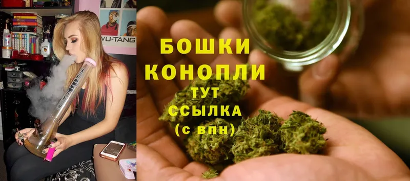 Бошки марихуана THC 21%  Вяземский 